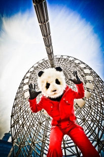  Steo le Panda / Pudong / Shanghai 